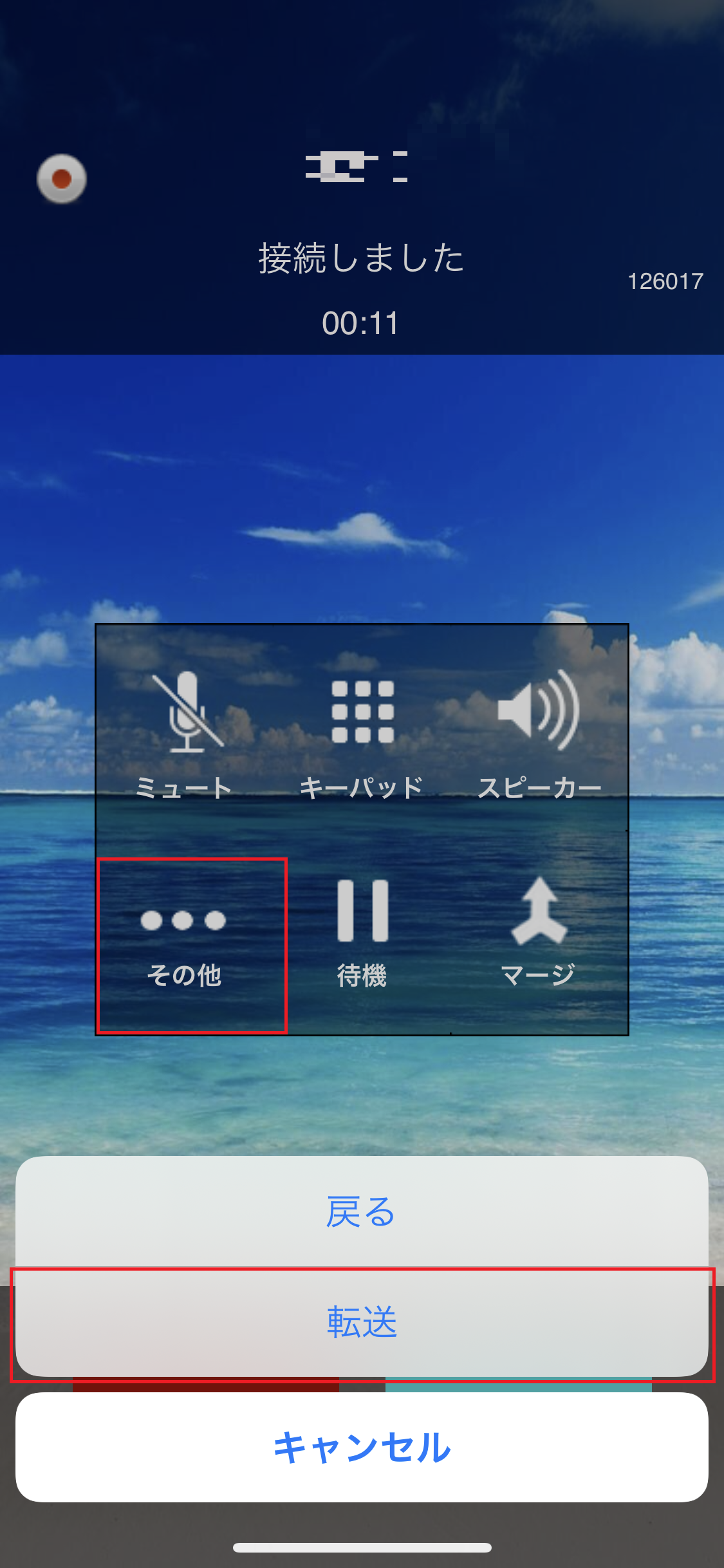 IMG_1979.PNG